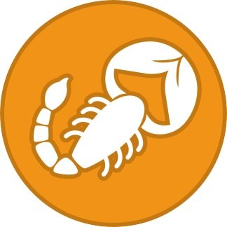 Scorpio (October 23 - November 21)
